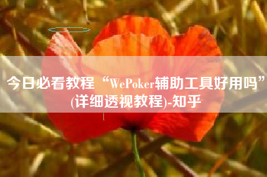 今日必看教程“WePoker辅助工具好用吗”(详细透视教程)-知乎