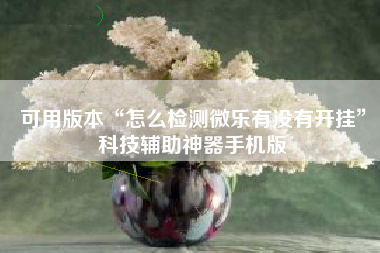 可用版本“怎么检测微乐有没有开挂	”科技辅助神器手机版