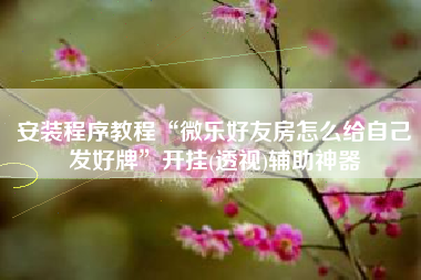 安装程序教程“微乐好友房怎么给自己发好牌”开挂(透视)辅助神器