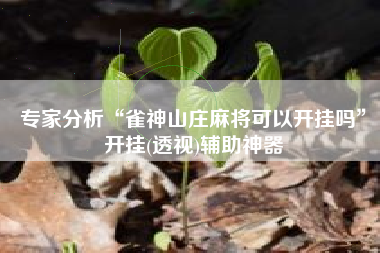 专家分析“雀神山庄麻将可以开挂吗”开挂(透视)辅助神器