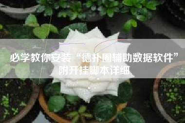 必学教你安装“德扑圈辅助数据软件”附开挂脚本详细