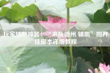 玩家辅助神器：“来玩德州 辅助”附开挂脚本详细教程