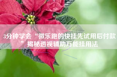 3分钟学会“微乐跑的快挂先试用后付款	”揭秘透视辅助万能挂用法