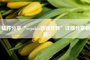 软件分享“wepoker透视作弊”详细分享装挂