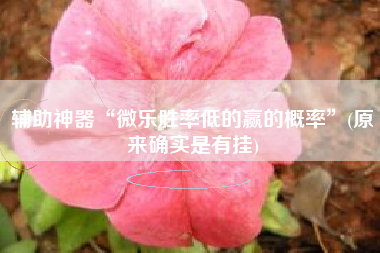 辅助神器“微乐胜率低的赢的概率	”(原来确实是有挂)