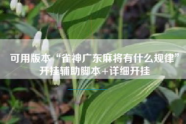 可用版本“雀神广东麻将有什么规律	”开挂辅助脚本+详细开挂