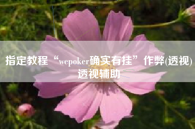 指定教程“wepoker确实有挂”作弊(透视)透视辅助