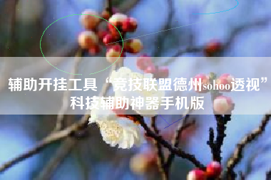 辅助开挂工具“竞技联盟德州sohoo透视”科技辅助神器手机版