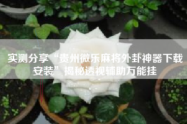 实测分享“贵州微乐麻将外卦神器下载安装	”揭秘透视辅助万能挂