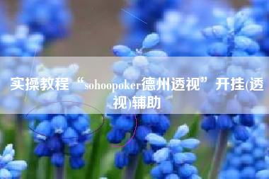 实操教程“sohoopoker德州透视	”开挂(透视)辅助