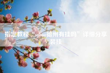指定教程“sohoo德州有挂吗”详细分享装挂