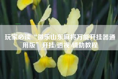 玩家必读“微乐山东麻将万能开挂器通用版	”开挂(透视)辅助教程