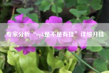 专家分析“wpk是不是有挂	”详细开挂