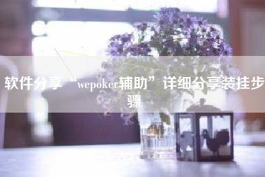 软件分享“wepoker辅助	”详细分享装挂步骤