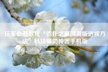 玩家必看教程“德扑之星网页版透视方法”科技辅助神器手机版