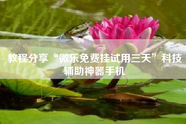 教程分享“微乐免费挂试用三天”科技辅助神器手机