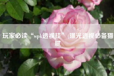 玩家必读“wpk透视挂”(曝光透视必备猫腻