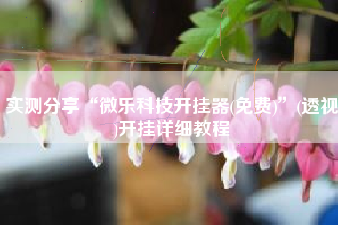 实测分享“微乐科技开挂器(免费)”(透视)开挂详细教程