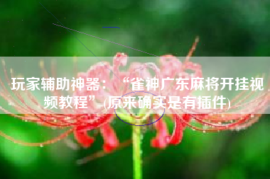 玩家辅助神器：“雀神广东麻将开挂视频教程”(原来确实是有插件)