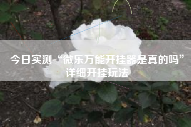 今日实测“微乐万能开挂器是真的吗”详细开挂玩法