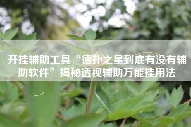 开挂辅助工具“德扑之星到底有没有辅助软件”揭秘透视辅助万能挂用法