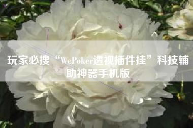 玩家必搜“WePoker透视插件挂	”科技辅助神器手机版