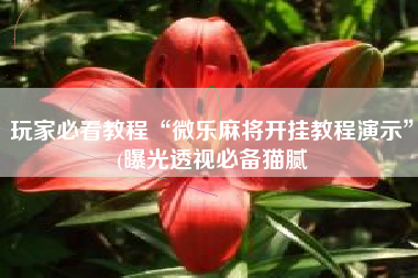 玩家必看教程“微乐麻将开挂教程演示”(曝光透视必备猫腻