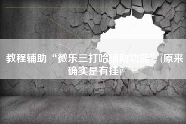 教程辅助“微乐三打哈辅助功能	”(原来确实是有挂)