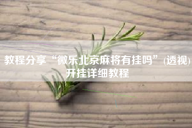 教程分享“微乐北京麻将有挂吗	”(透视)开挂详细教程