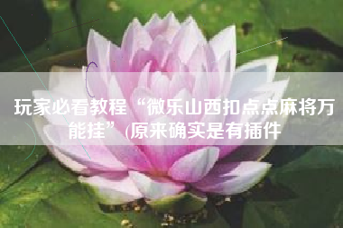 玩家必看教程“微乐山西扣点点麻将万能挂”(原来确实是有插件