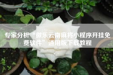 专家分析“微乐云南麻将小程序开挂免费软件”通用版下载教程