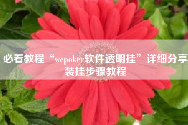 必看教程“wepoker软件透明挂”详细分享装挂步骤教程