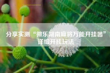 分享实测“微乐湖南麻将万能开挂器”详细开挂玩法