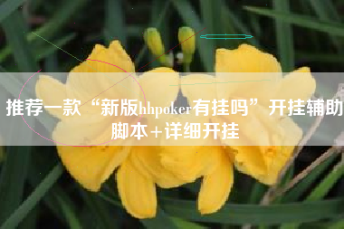 推荐一款“新版hhpoker有挂吗	”开挂辅助脚本+详细开挂
