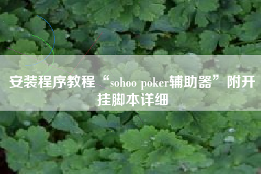安装程序教程“sohoo poker辅助器	”附开挂脚本详细