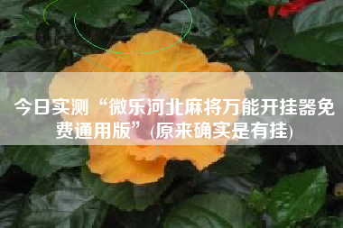 今日实测“微乐河北麻将万能开挂器免费通用版	”(原来确实是有挂)