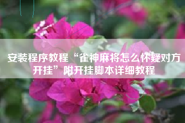 安装程序教程“雀神麻将怎么怀疑对方开挂”附开挂脚本详细教程