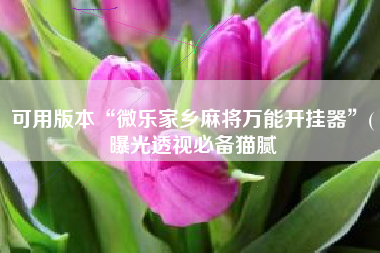 可用版本“微乐家乡麻将万能开挂器	”(曝光透视必备猫腻