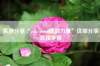实测分享“pokemmo辅助力量	”详细分享装挂步骤