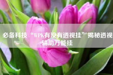 必备科技“WPK有没有透视挂”揭秘透视辅助万能挂