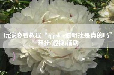 玩家必看教程“appoker透明挂是真的吗”开挂(透视)辅助