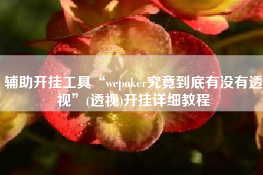 辅助开挂工具“wepoker究竟到底有没有透视”(透视)开挂详细教程