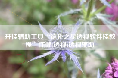 开挂辅助工具“德扑之星透视软件挂教程”作弊(透视)透视辅助