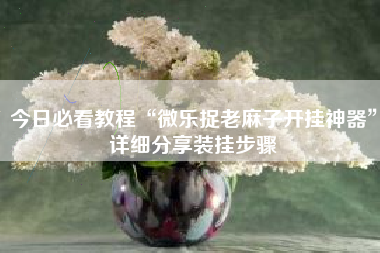 今日必看教程“微乐捉老麻子开挂神器”详细分享装挂步骤