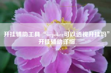 开挂辅助工具“wepoker可以透视开挂吗	”开挂辅助详细
