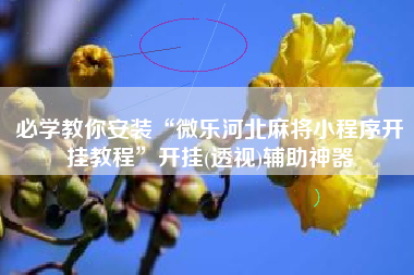 必学教你安装“微乐河北麻将小程序开挂教程”开挂(透视)辅助神器