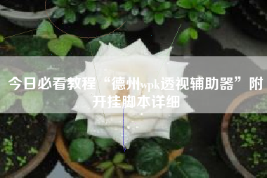 今日必看教程“德州wpk透视辅助器”附开挂脚本详细