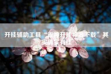 开挂辅助工具“雀神开挂神器下载”其实确实有挂