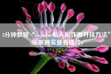 3分钟教程“wepoker私人局作弊开挂方法”(原来确实是有插件)