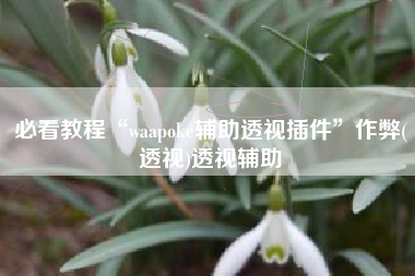 必看教程“waapoke辅助透视插件	”作弊(透视)透视辅助